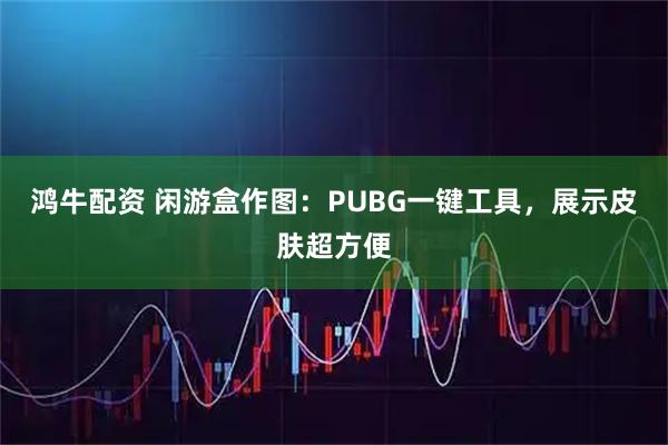 鸿牛配资 闲游盒作图：PUBG一键工具，展示皮肤超方便