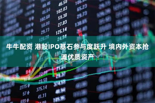牛牛配资 港股IPO基石参与度跃升 境内外资本抢滩优质资产