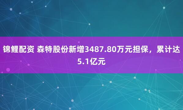 锦鲤配资 森特股份新增3487.80万元担保，累计达5.1亿元