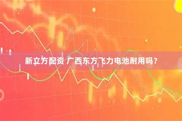 新立方配资 广西东方飞力电池耐用吗？